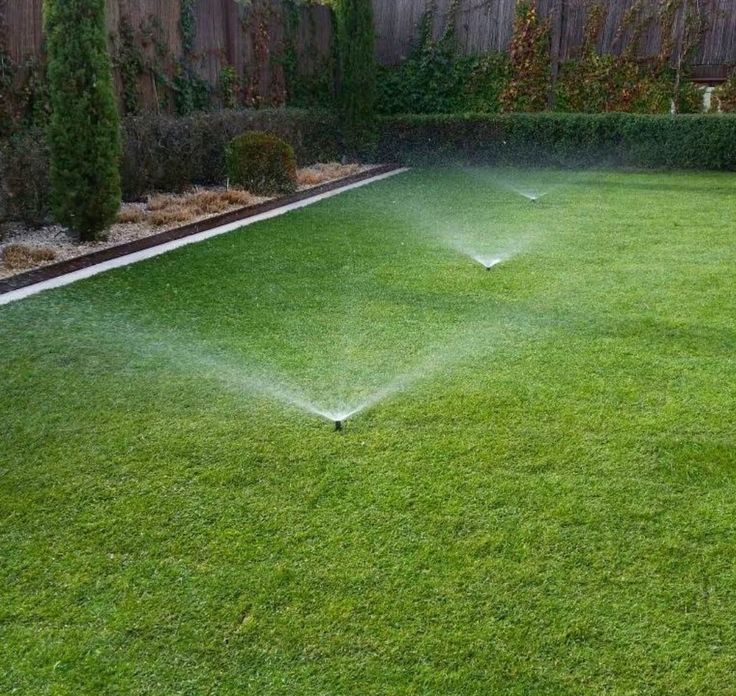 The Importance of Professional Irrigation and Lawn Maintenance